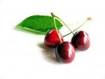 Cherry